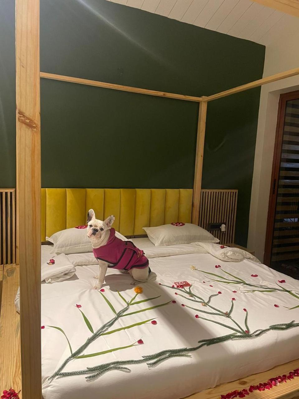 Rawai Luxury Tents Πουσκάρ Εξωτερικό φωτογραφία